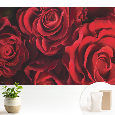 Tapeta do obyvaku Harmonicky elegantní červené růže