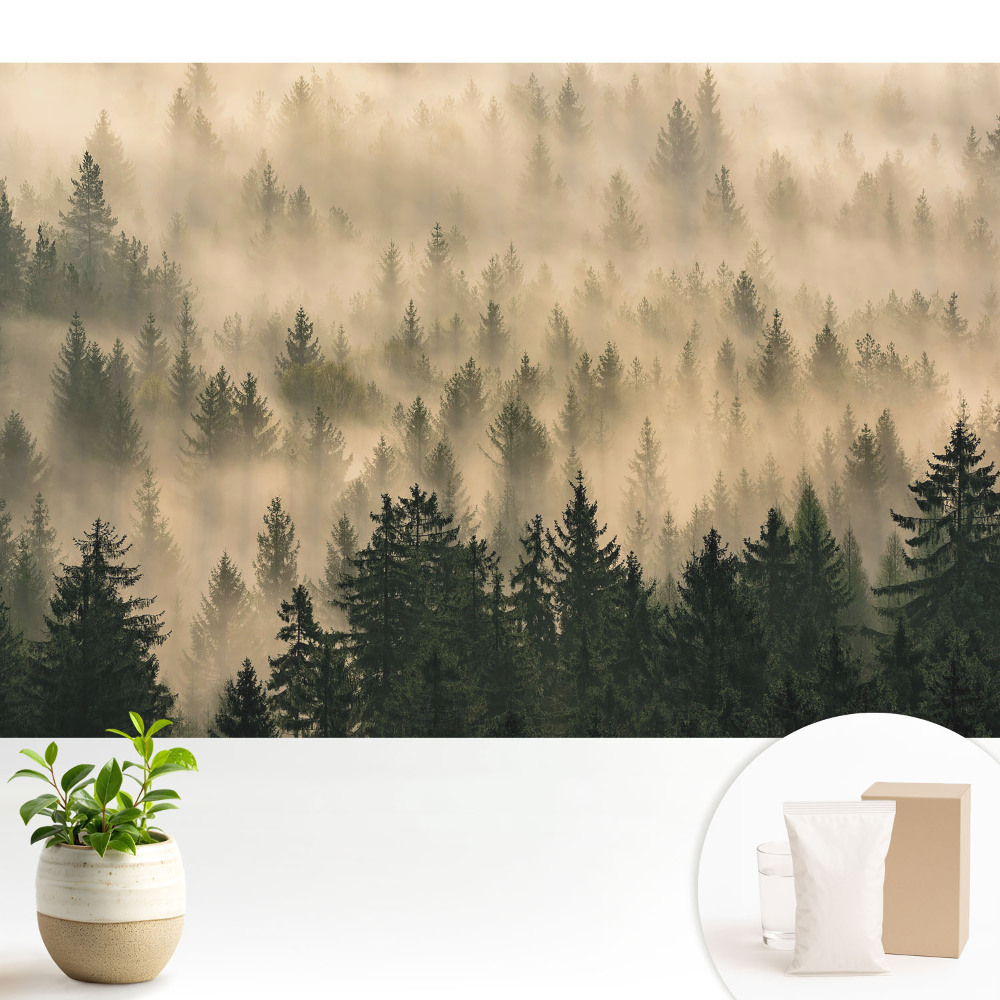 Samolepící tapeta Les v ranní mlze