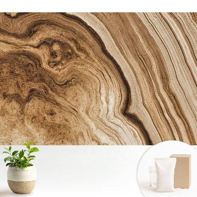 Tapeta na zeď Linie organického dřeva, zemité tóny, vyvážená atmosféra