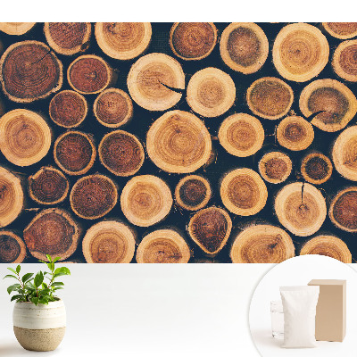 Tapeta s rustikálním dřevěným vzorem v přírodních tónech se symetrickým motivem