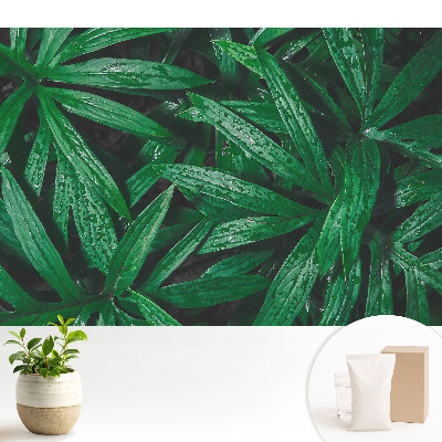 Samolepící tapeta Detail listů