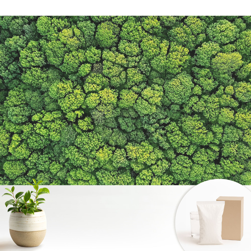 Tapeta na zeď se vzorem zeleného lesa z pohledu shora