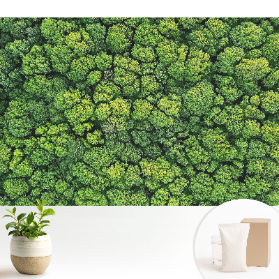 Tapeta na zeď se vzorem zeleného lesa z pohledu shora