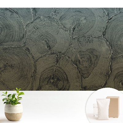 Tapeta do obyvaku Klasický vzor šedého dřeva