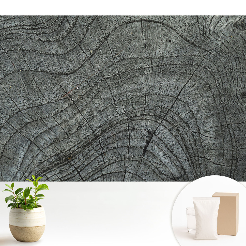 Samolepící tapeta Rustikální symetrie dřeva