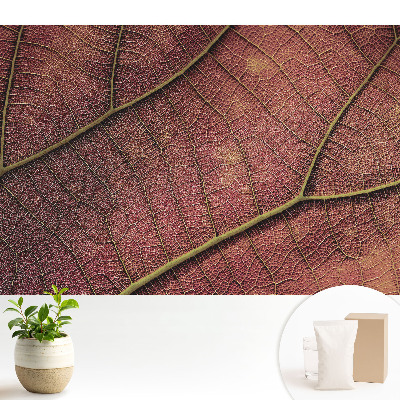 Tapeta se strukturou listu plnou detailů a bohatých barev