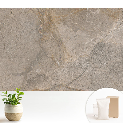 Tapeta do obývacího pokoje s motivem kamene v béžových a šedých tóních