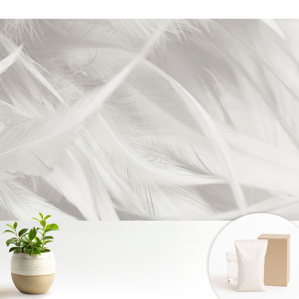 Tapeta do obývacího pokoje s motivem nadýchaného bílého peří
