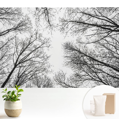 Tapeta na zeď Černobílé zimní stromy