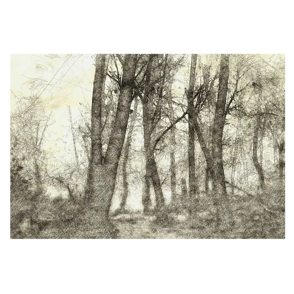 Tapeta na zeď Atmosférická krajina lesa