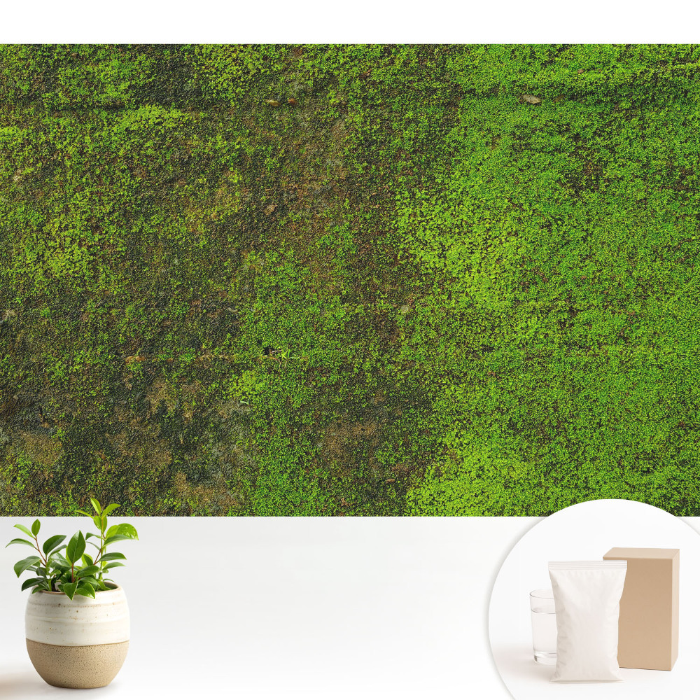 Tapeta na zeď s motivem organické mechové textury