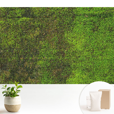 Tapeta na zeď s motivem organické mechové textury