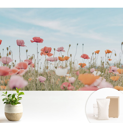 Tapeta do obyvaku Barevné máky proti modré obloze