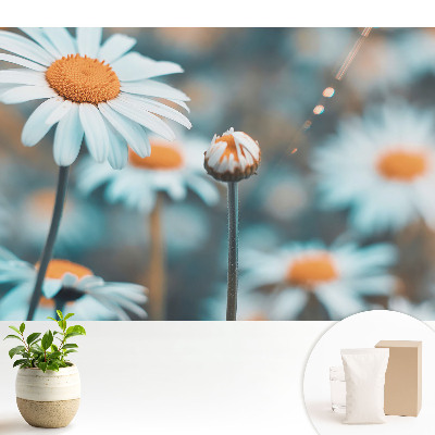 Samolepící tapeta s jemným motivem květů heřmánku evokujícím klid