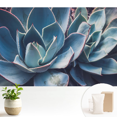 Tapeta na zeď se vzorem sukulentních listů v symetrickém minimalistickém provedení