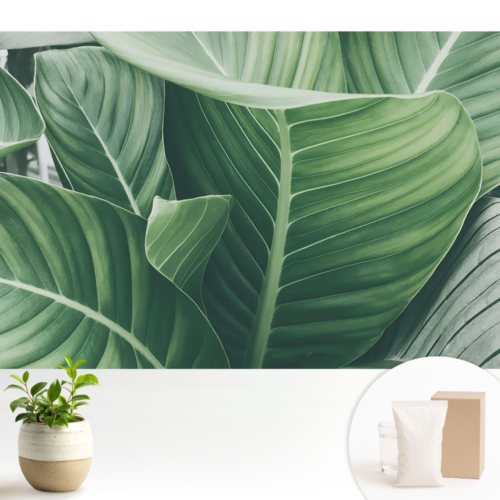 Tapeta do obývacího pokoje se vzorem zelených listů evokující přírodu a moderní harmonii