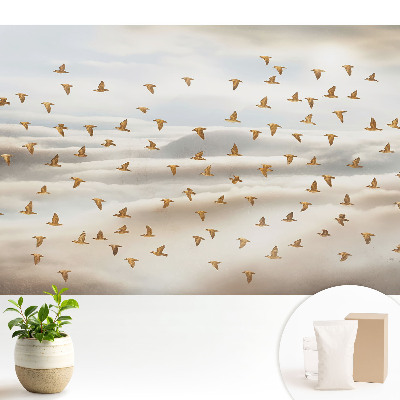 Tapeta na zeď Ptáci létající v oblacích