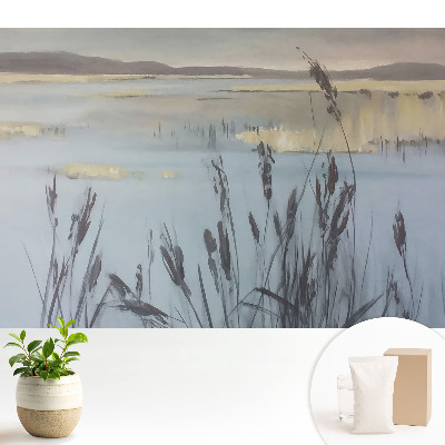 Tapeta Jezero s rákosím, reflexní prostor