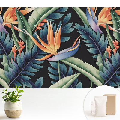 Tapeta do obyvaku Tropické květiny na černém pozadí