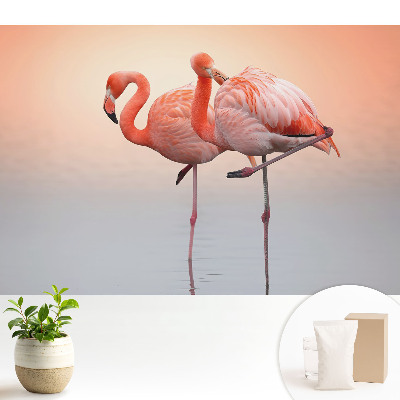 Samolepící tapeta Plameňáci na pastelovém pozadí