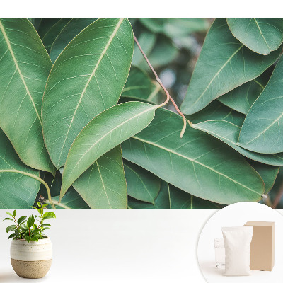 Tapeta se vzorem zelených listů v minimalistickém stylu Harmony