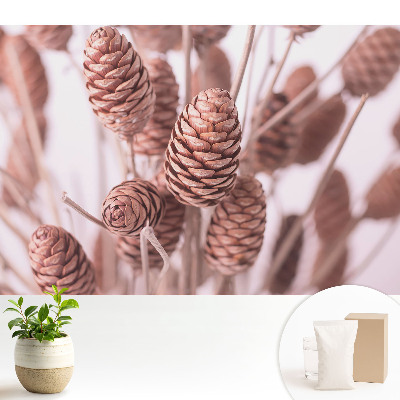 Samolepící tapeta s motivem šišek v rustikálním stylu
