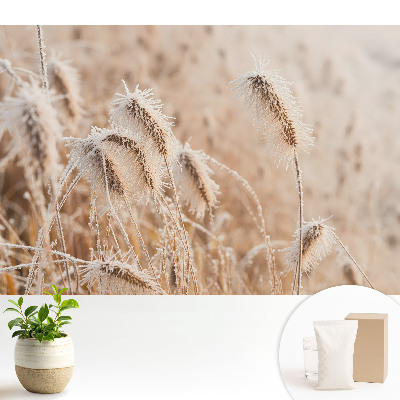 Samolepící tapeta s motivem mrazu na trávě evokující zimní krásu přírody