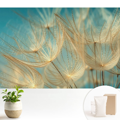 Tapeta Jemnost přírody, harmonický vzor, ​​jemnost