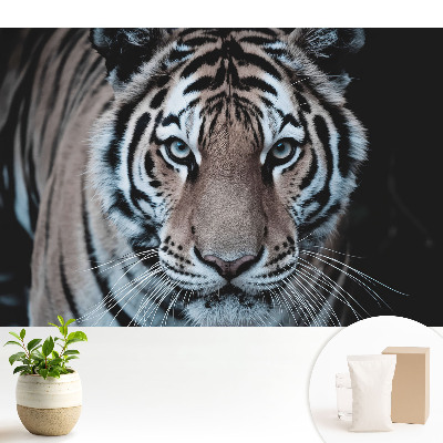 Tapeta Dynamická kompozice magnetizujícího tygra