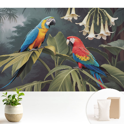 Tapeta Tropické papoušky, exotické barvy