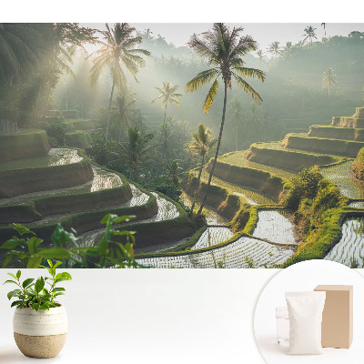 Tapeta s motivem exotických rýžových teras mezi palmami