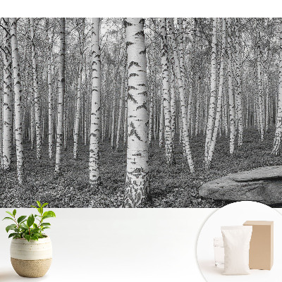 Tapeta do obývacího pokoje s motivem březového lesa evokující klid a harmonii