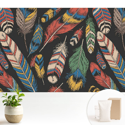Samolepící tapeta Barevné peří v boho stylu