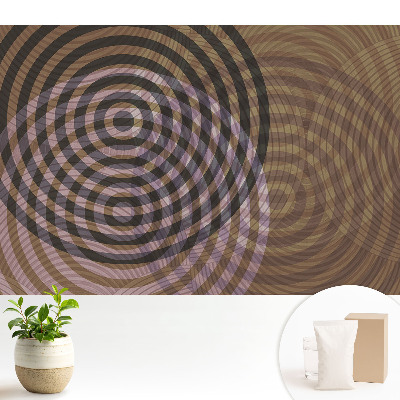 Tapeta na zeď Soustředné kruhy retro moderní