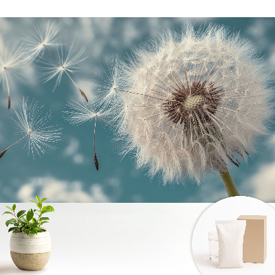 Samolepící tapeta Pampeliška ve větru