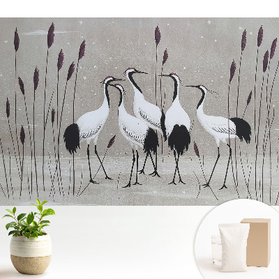 Tapeta na zeď Jeřábi mezi rákosím