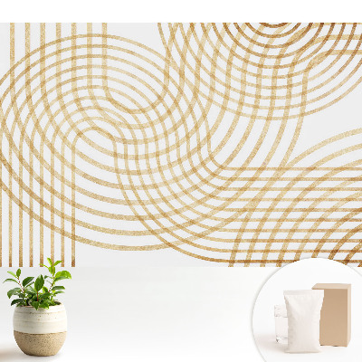 Tapeta na zeď Dynamický geometrický elegantní cop