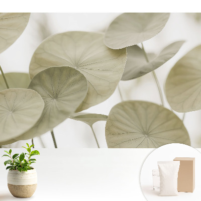 Samolepící tapeta s motivem listů v minimalistickém stylu