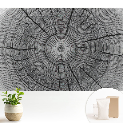 Tapeta Symetrické složení dřevěných kruhů