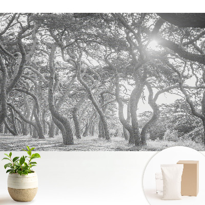 Tapeta do obývacího pokoje s tajemným klasickým lesním motivem