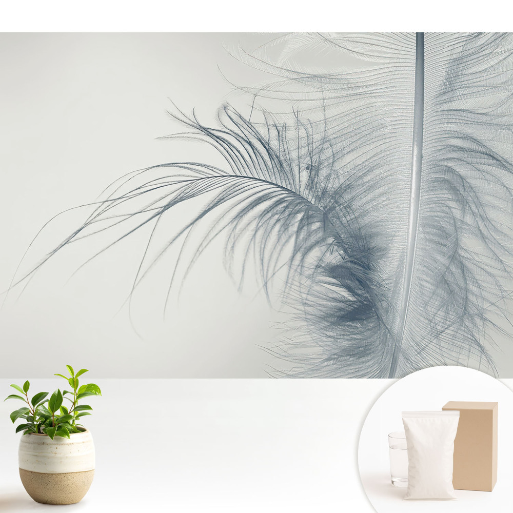 Tapeta do obývacího pokoje s jemným motivem peří evokujícím lehkost a harmonii