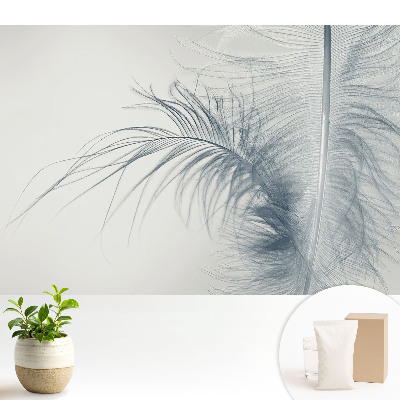 Tapeta do obyvaku Jemný motiv peří, lehkost a harmonie