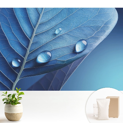 Tapeta na zeď Abstraktní list s kapkami vody