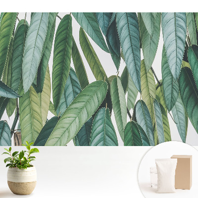 Tapeta na zeď Zelené listy minimalismus příroda