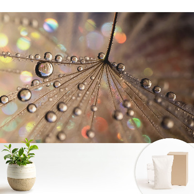 Tapeta Jemná struktura kapek roztroušených na pozadí