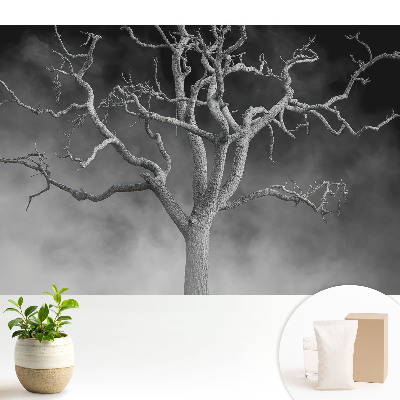 Tapeta Osamělý strom v mlze