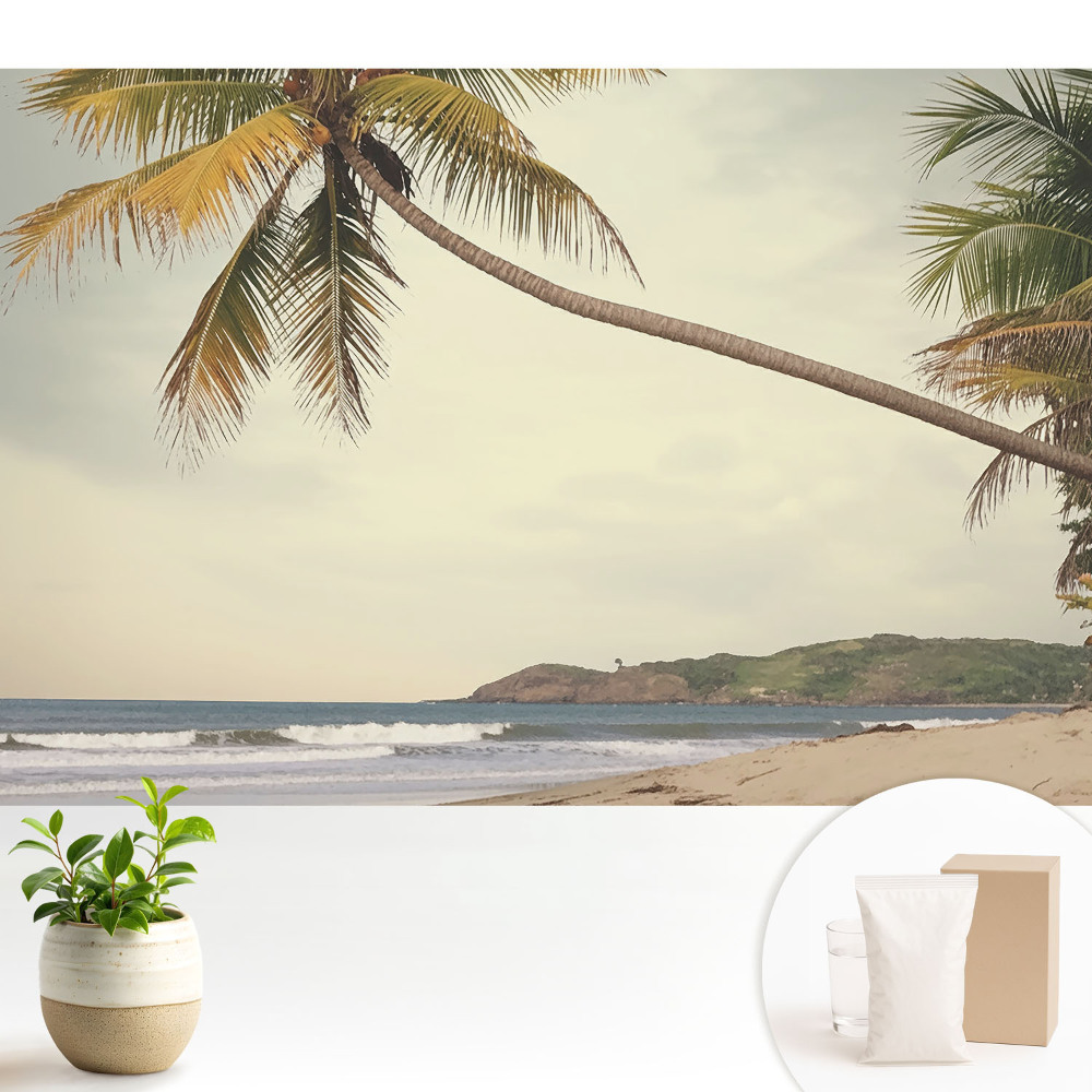 Tapeta do obývacího pokoje s motivem palmy a exotické pláže