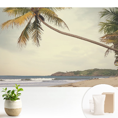 Tapeta do obyvaku Palma a exotická pláž