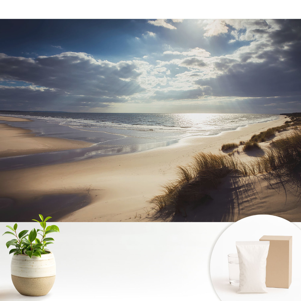Tapeta s motivem pláže, přírody a nebe v zenovém stylu