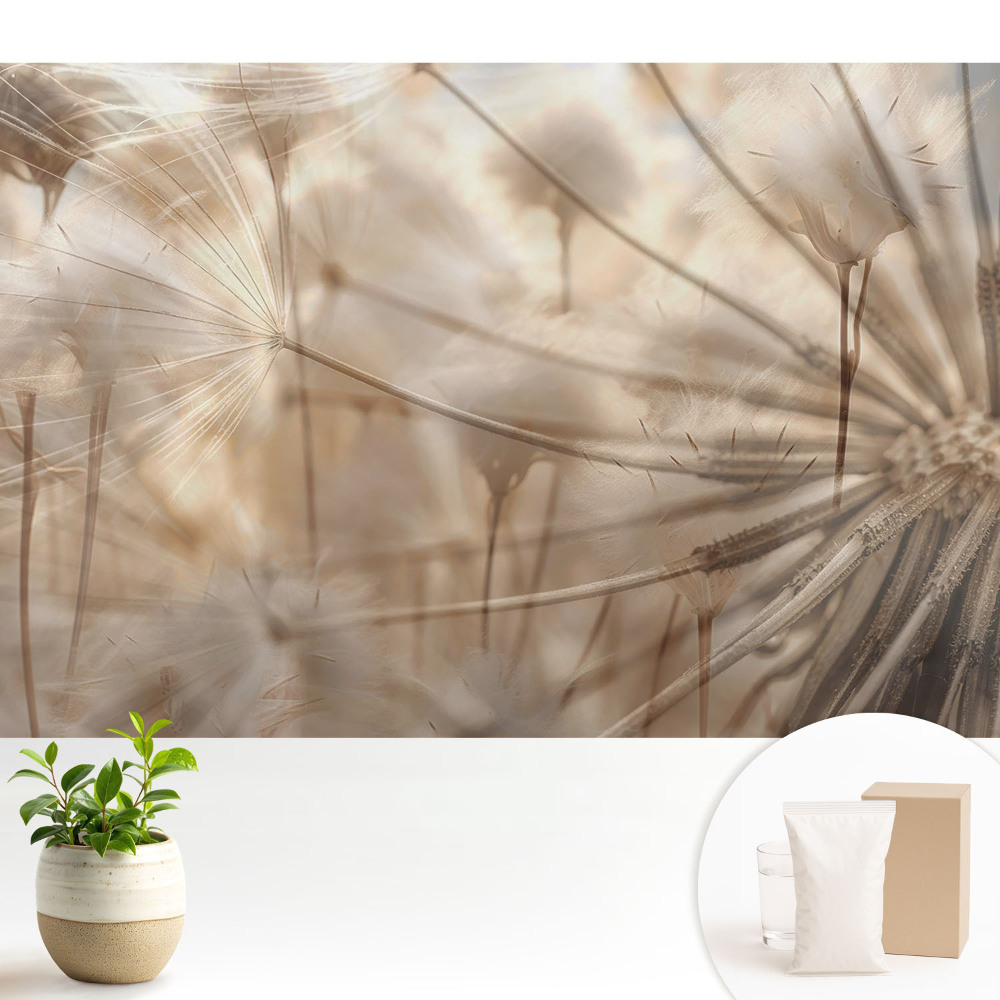 Tapeta do obývacího pokoje s motivem éterických pampelišek nesoucích harmonii přírody